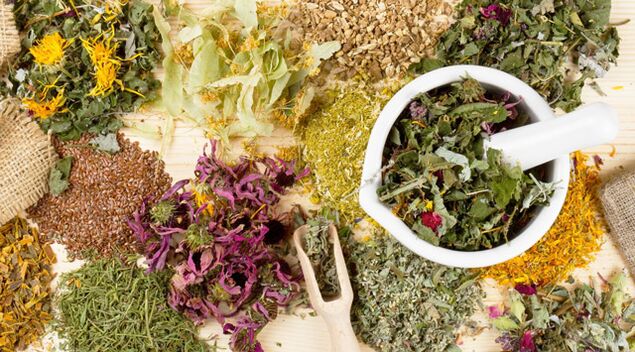 Plante medicinale care ajută la lupta împotriva diabetului zaharat